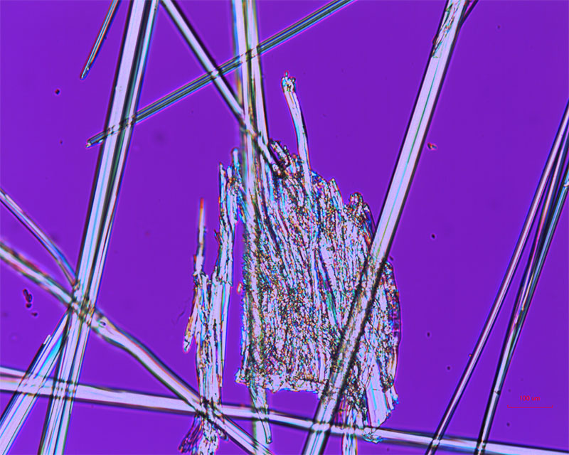 Polarized Light Microscopy Improved Pharma